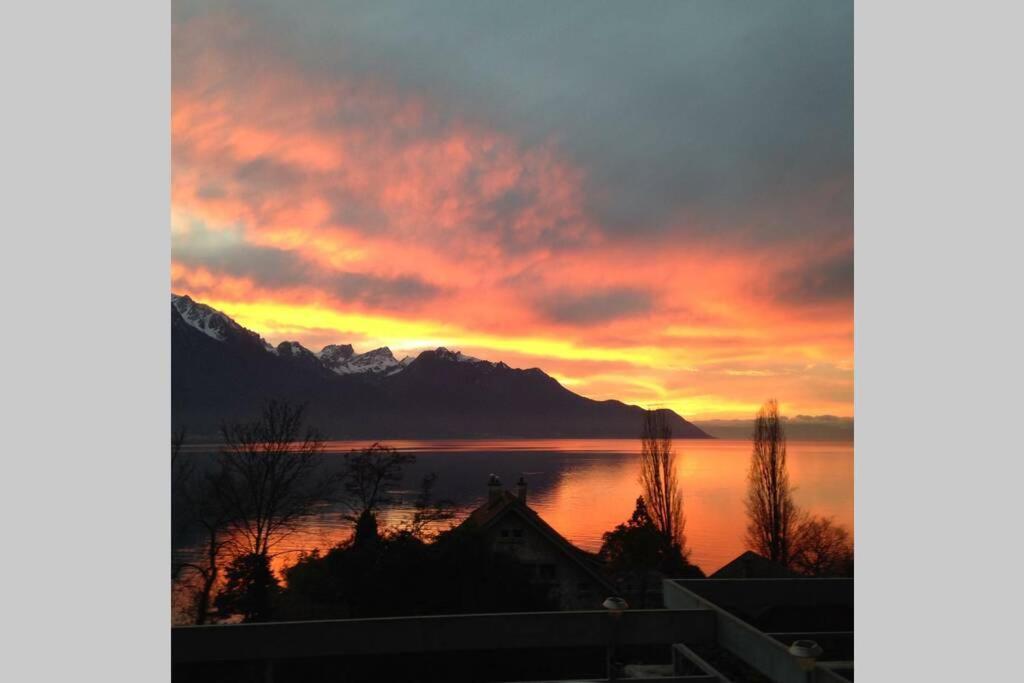 studio vue panoramique sur le lac léman Veytaux Exterior foto